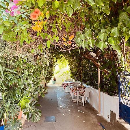Afroditi Pension Архангелос Экстерьер фото