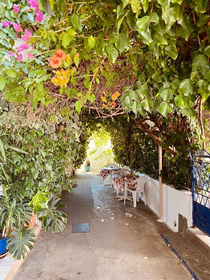Afroditi Pension Архангелос Экстерьер фото